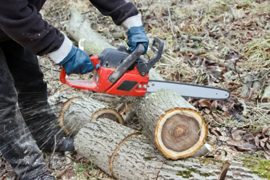 Reliable Tree Expert in Kirkland, IL