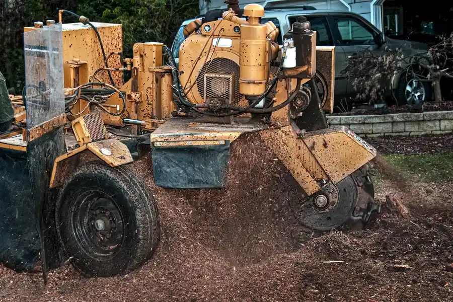 How To Grind A Stump Kirkland, IL