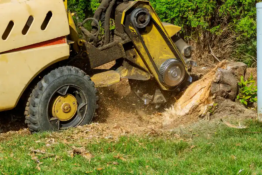 How To Grind A Stump in Kirkland, IL