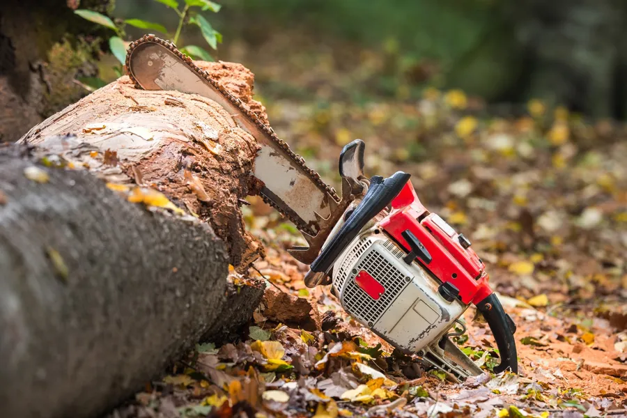 How To Remove A Tree Trunk Kirkland, IL