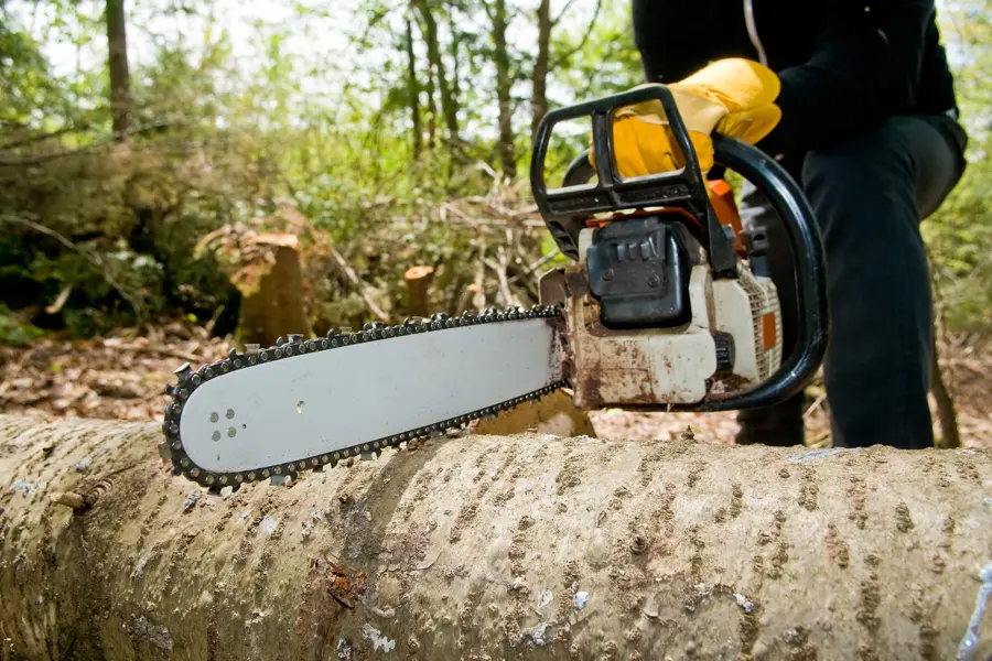 How To Remove A Tree in Kirkland, IL