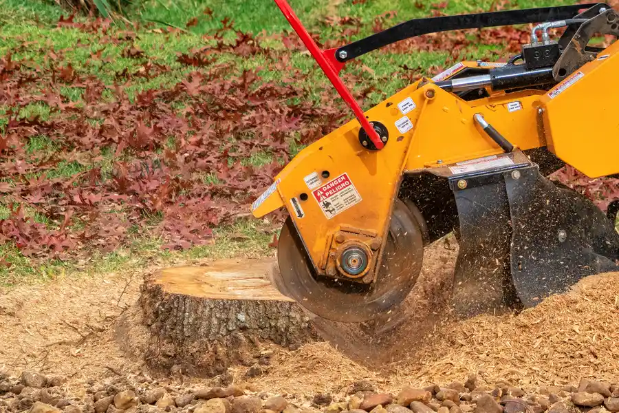 Professional Stump Grinding Kirkland, IL