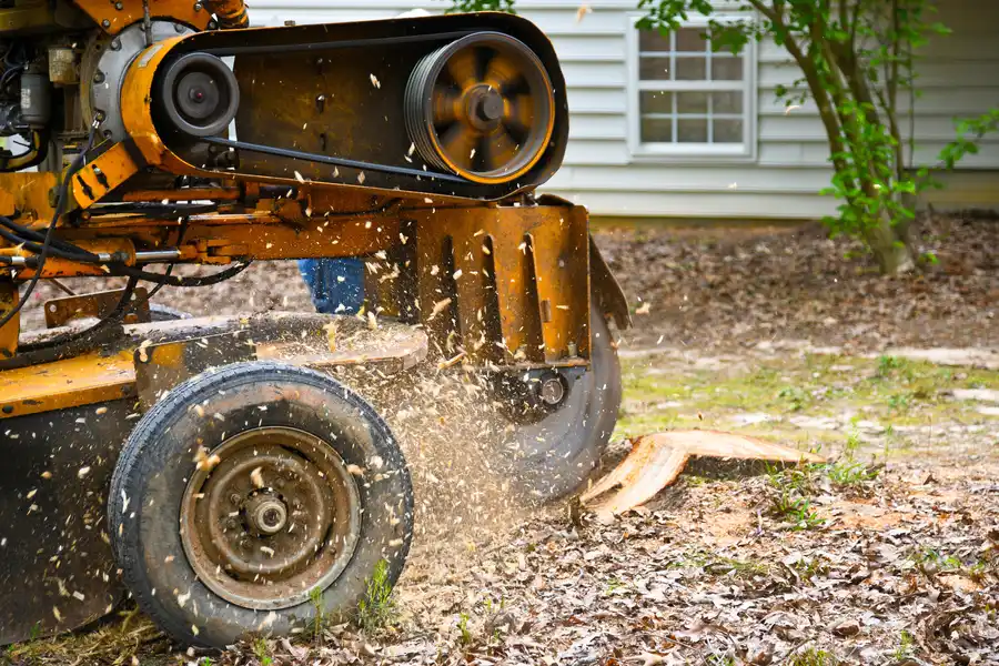 Affordable Stump Grinding in Kirkland, IL