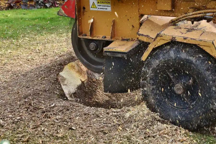 Reliable Stump Grinding in Kirkland, IL