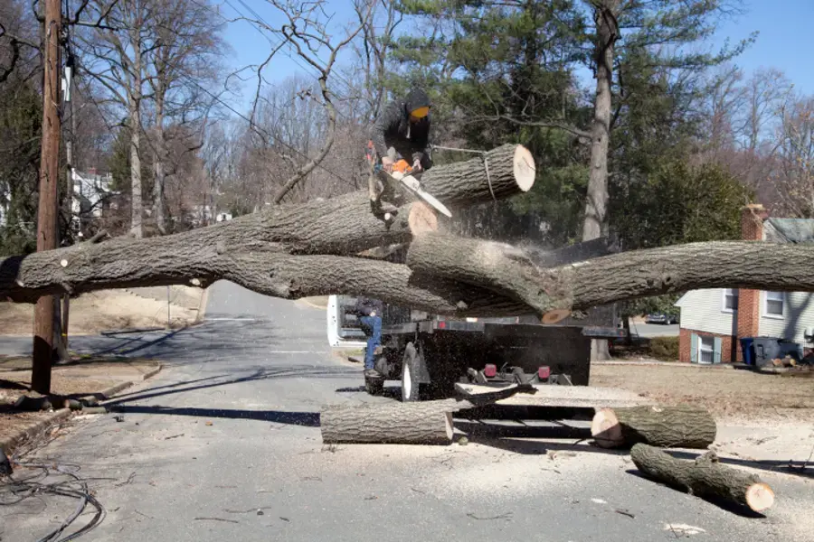 Reliable Tree Removal in Kirkland, IL