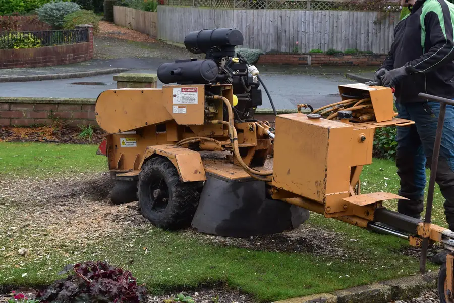 What Is Stump Grinding Kirkland, IL What Is Stump Grinding Kirkland, IL
